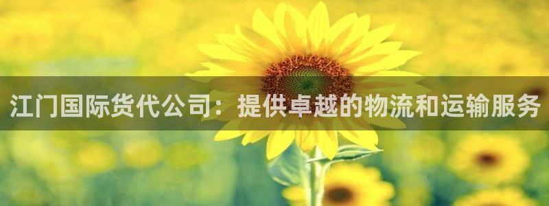 尊龙凯时法充十万返现多少：江门国际货代公司：提供卓越的物