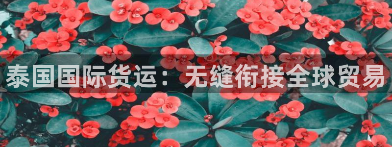 尊龙贴吧：泰国国际货运：无缝衔接全球贸易