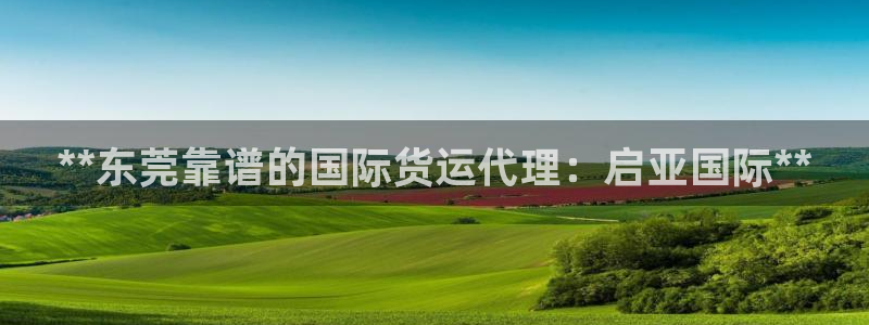 尊龙ag旗舰厅手机版：**东莞靠谱的国际货运代理：启亚国