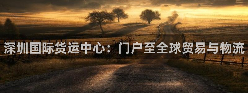 尊龙官网首页：深圳国际货运中心：门户至全球贸易与物流