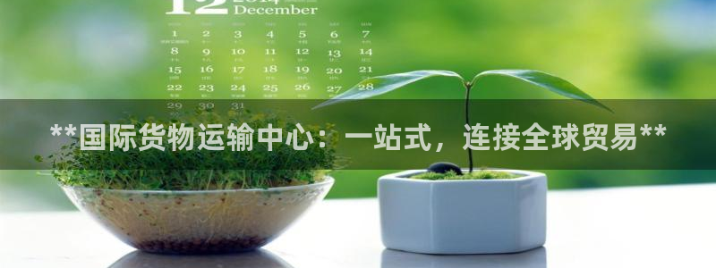 尊龙网页：**国际货物运输中心：一站式，连接全球贸易**