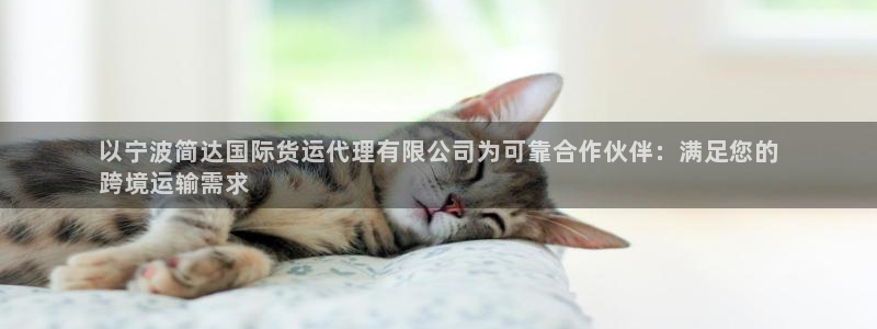 尊龙ag旗舰厅官网·(中国)官方入口：以宁波简达国际货运