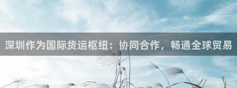 尊龙人生就是傅官网：深圳作为国际货运枢纽：协同合作，畅通