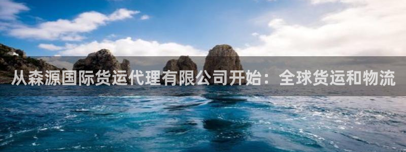 尊龙凯时能提现吗：从森源国际货运代理有限公司开始：全球货