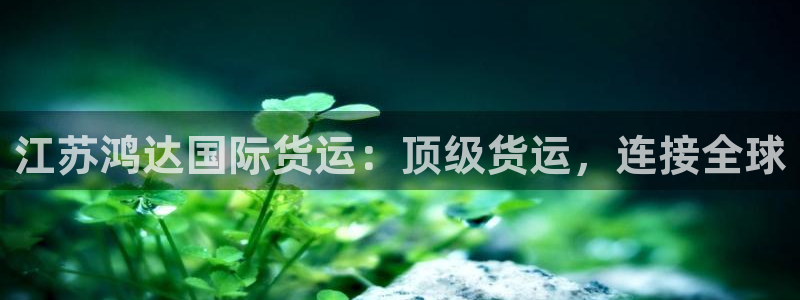 尊龙凯时一人生就是博登入：江苏鸿达国际货运：顶级货运，连