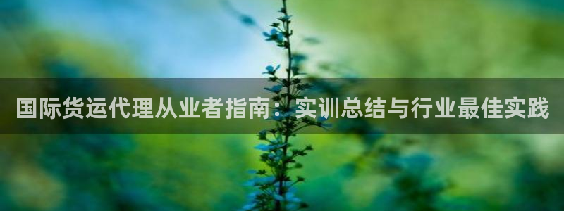 尊龙凯时口碑好吗：国际货运代理从业者指南：实训总结与行业