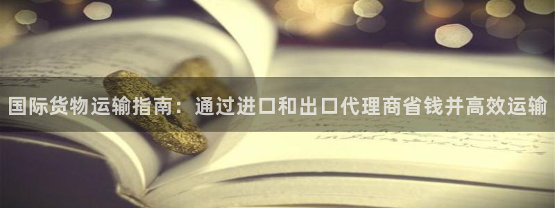 尊龙AG旗舰厅APP：国际货物运输指南：通过进口和出口代
