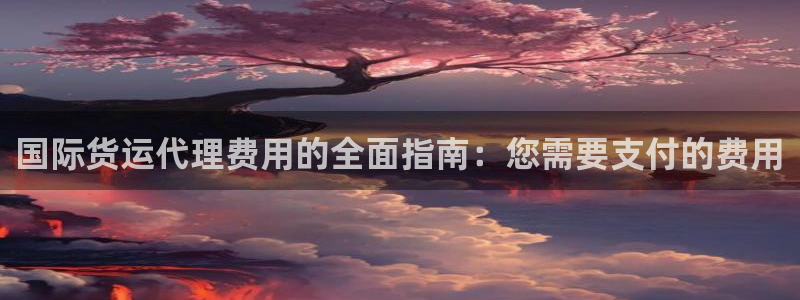 尊龙人生就是博D88：国际货运代理费用的全面指南：您需要