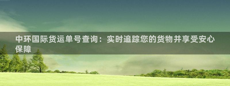 尊龙凯时ag旗舰厅官：中环国际货运单号查询：实时追踪您的