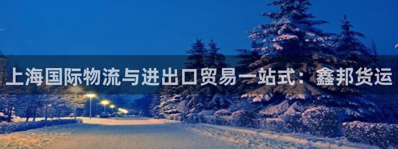 尊龙凯时网：上海国际物流与进出口贸易一站式：鑫邦货运