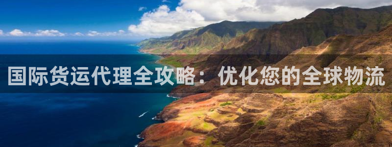 尊龙网页：国际货运代理全攻略：优化您的全球物流