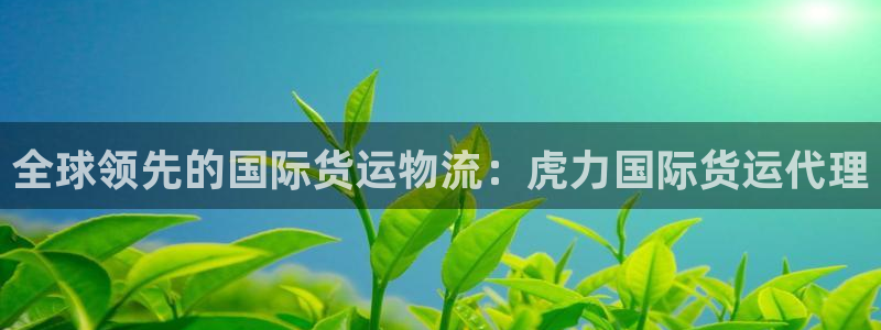 尊龙人生就是博旗舰厅：全球领先的国际货运物流：虎力国际货
