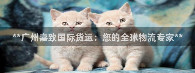 尊龙凯时网站首页手机登录：**广州嘉致国际货运：您的全球