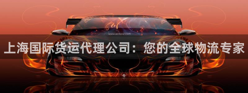 尊龙z6网址：上海国际货运代理公司：您的全球物流专家