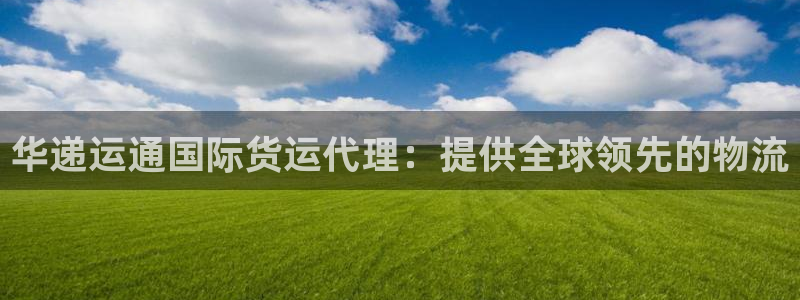 尊龙官网手：华递运通国际货运代理：提供全球领先的物流