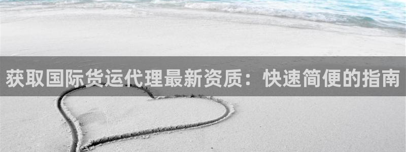 尊龙实业有限公司：获取国际货运代理最新资质：快速简便的指