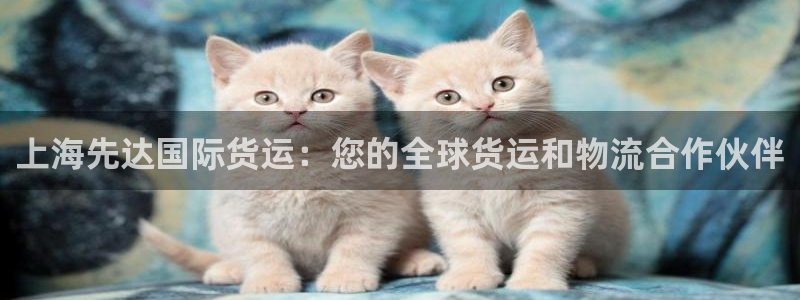 尊龙官方平台是正品吗：上海先达国际货运：您的全球货运和物