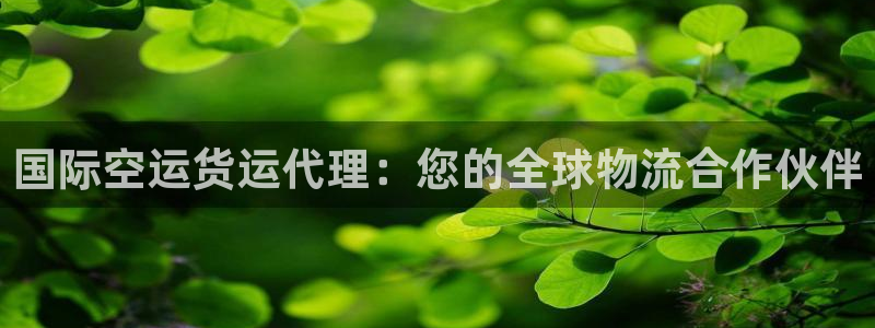 尊龙凯时人生就是博·(中国)官网最新：国际空运货运代理：