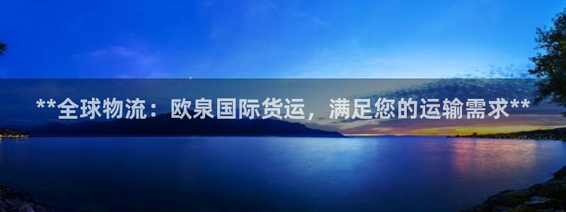尊龙目前在哪：**全球物流：欧泉国际货运，满足您的运输需