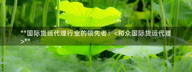 尊龙集团有限公司招聘：**国际货运代理行业的领先者：<和