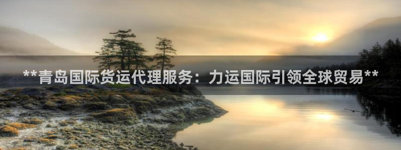 尊龙凯时出款：**青岛国际货运代理服务：力运国际引领全球