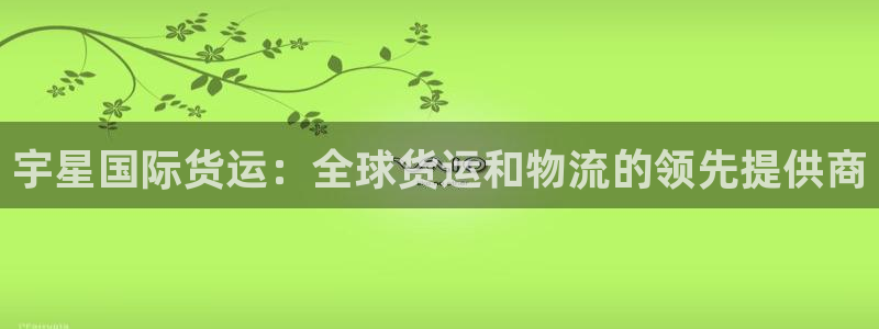 尊龙凯时人生就是博·(中国)官网：宇星国际货运：全球货运