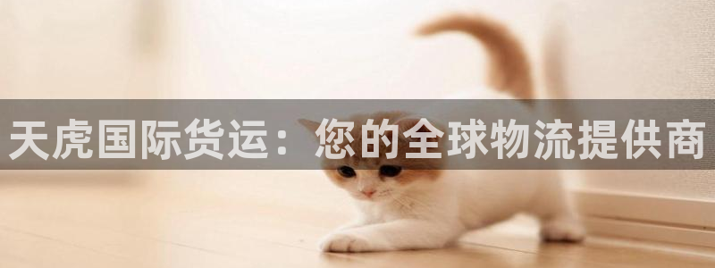 尊龙165：天虎国际货运：您的全球物流提供商