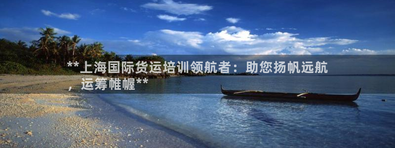尊龙凯时正规吗：**上海国际货运培训领航者：助您扬帆远航