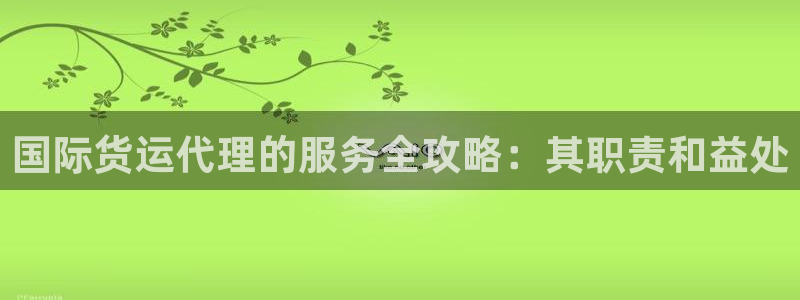 尊龙游戏官方网：国际货运代理的服务全攻略：其职责和益处