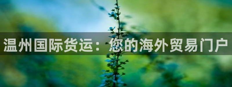 尊龙手机官方客户端下载：温州国际货运：您的海外贸易门户