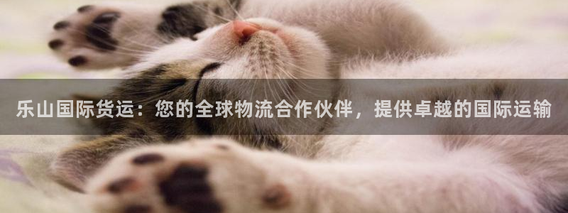 尊龙d88官网去来就送38：乐山国际货运：您的全球物流合