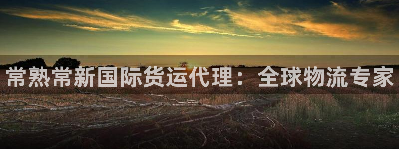 尊龙d88现金 旧版本可靠送38元：常熟常新国际货运代理