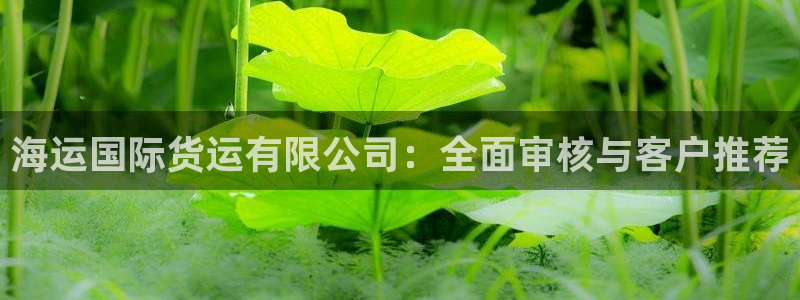 尊龙凯时ag旗舰：海运国际货运有限公司：全面审核与客户推