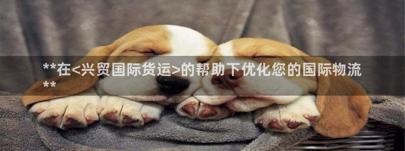 尊龙凯时代理官网入口：**在<兴贸国际货运>的帮助下优化