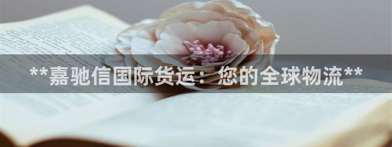 尊龙官网网页版：**嘉驰信国际货运：您的全球物流**