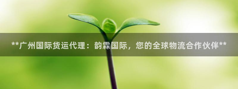z6尊龙凯时旗：**广州国际货运代理：韵霖国际，您的全球