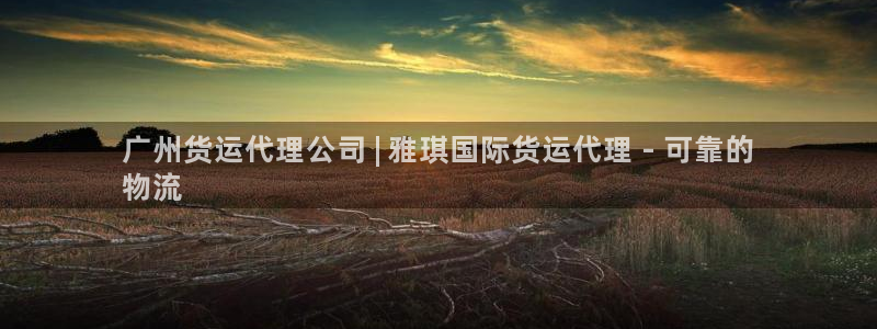 尊龙d88ag官方网站：广州货运代理公司 | 雅琪国际货
