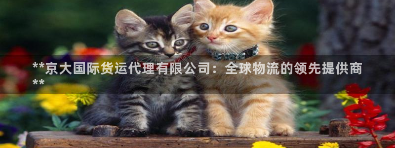 尊龙凯时代理：**京大国际货运代理有限公司：全球物流的领