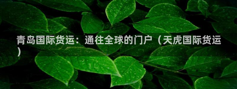 尊龙凯时人生就是搏平台：青岛国际货运：通往全球的门户（天