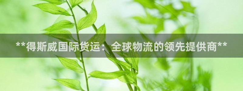 尊龙人生就是博电脑版：**得斯威国际货运：全球物流的领先