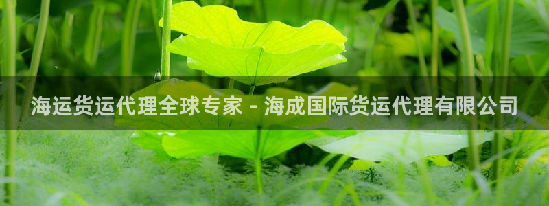 尊龙凯时人生就是博官网登录：海运货运代理全球专家 - 海