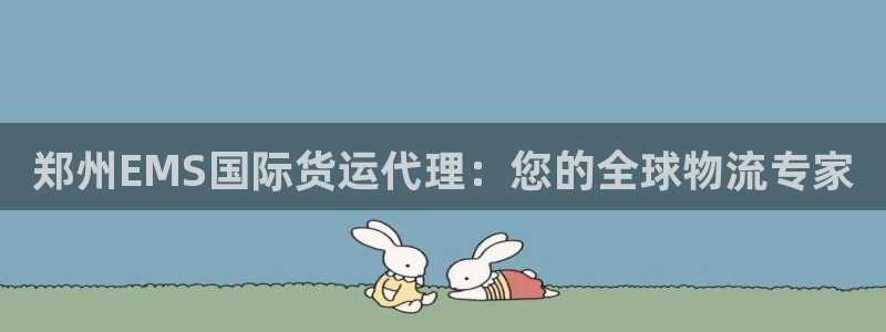 尊龙凯时v7要冲多少：郑州EMS国际货运代理：您的全球物