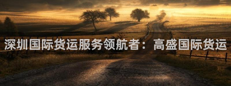 尊龙凯时发展历程：深圳国际货运服务领航者：高盛国际货运