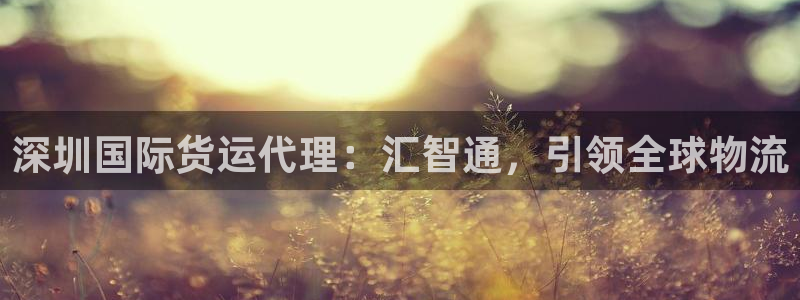 尊龙Ag：深圳国际货运代理：汇智通，引领全球物流