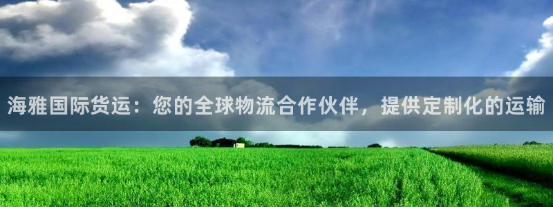 尊龙官方网站：海雅国际货运：您的全球物流合作伙伴，提供定