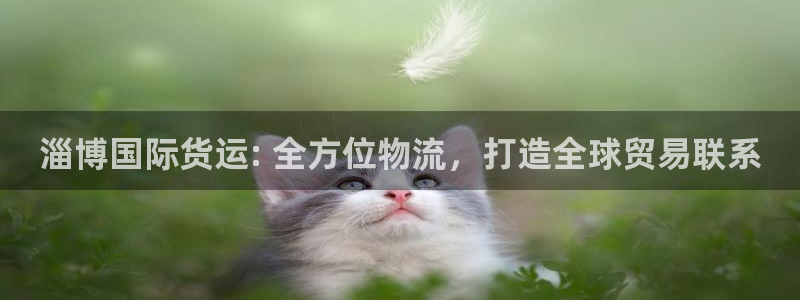 尊龙手机版下载：淄博国际货运: 全方位物流，打造全球贸易