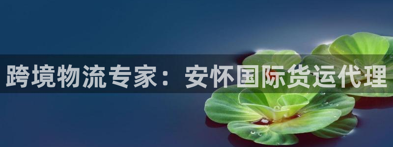 尊龙新版app首页：跨境物流专家：安怀国际货运代理