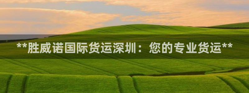 尊龙人生就是博d88官方网站：**胜威诺国际货运深圳：您