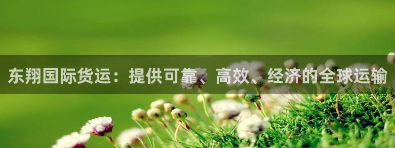 尊龙一人生就是搏：东翔国际货运：提供可靠、高效、经济的全