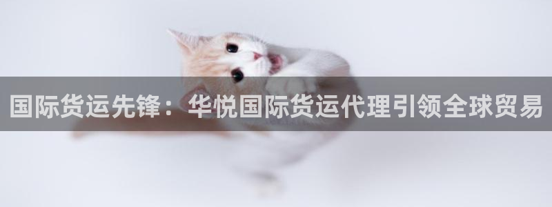 尊龙凯时-人生就是博中国官网首页：国际货运先锋：华悦国际
